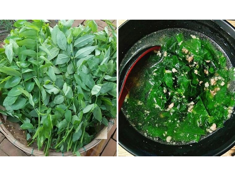 cac-mon-an-tu-rau-ngot-giup-giam-can-thanh-cong