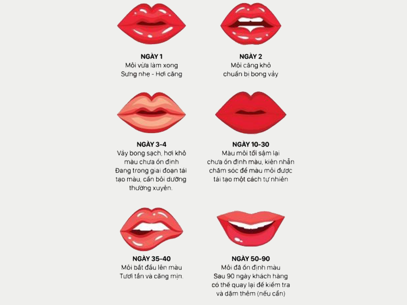 cham-soc-moi-sau-khi-xam-nhu-the-nao