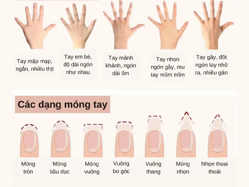 huong-dan-cach-chon-dang-mong-tay-phu-hop-voi-tay-ban