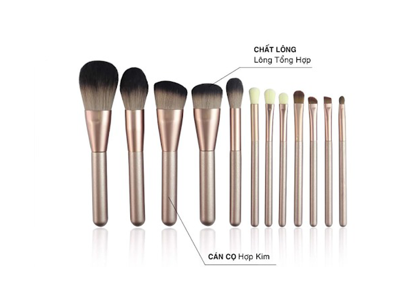 mach-ban-cach-dung-cac-loai-co-trong-trang-diem